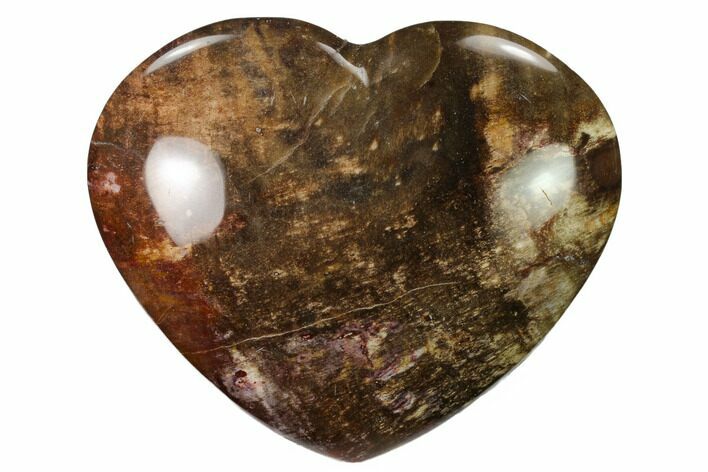 Polished Triassic Petrified Wood Heart - Madagascar #139987